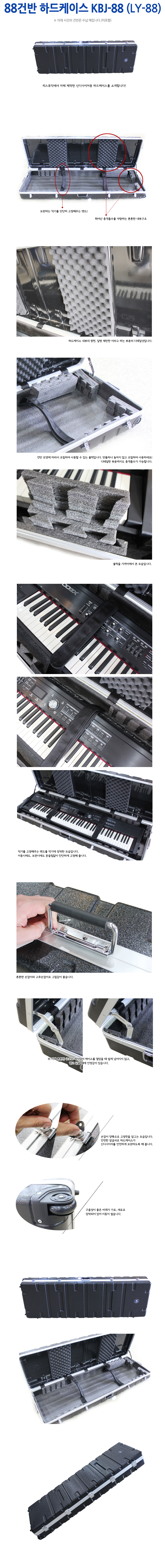 peace-88case-info.JPG